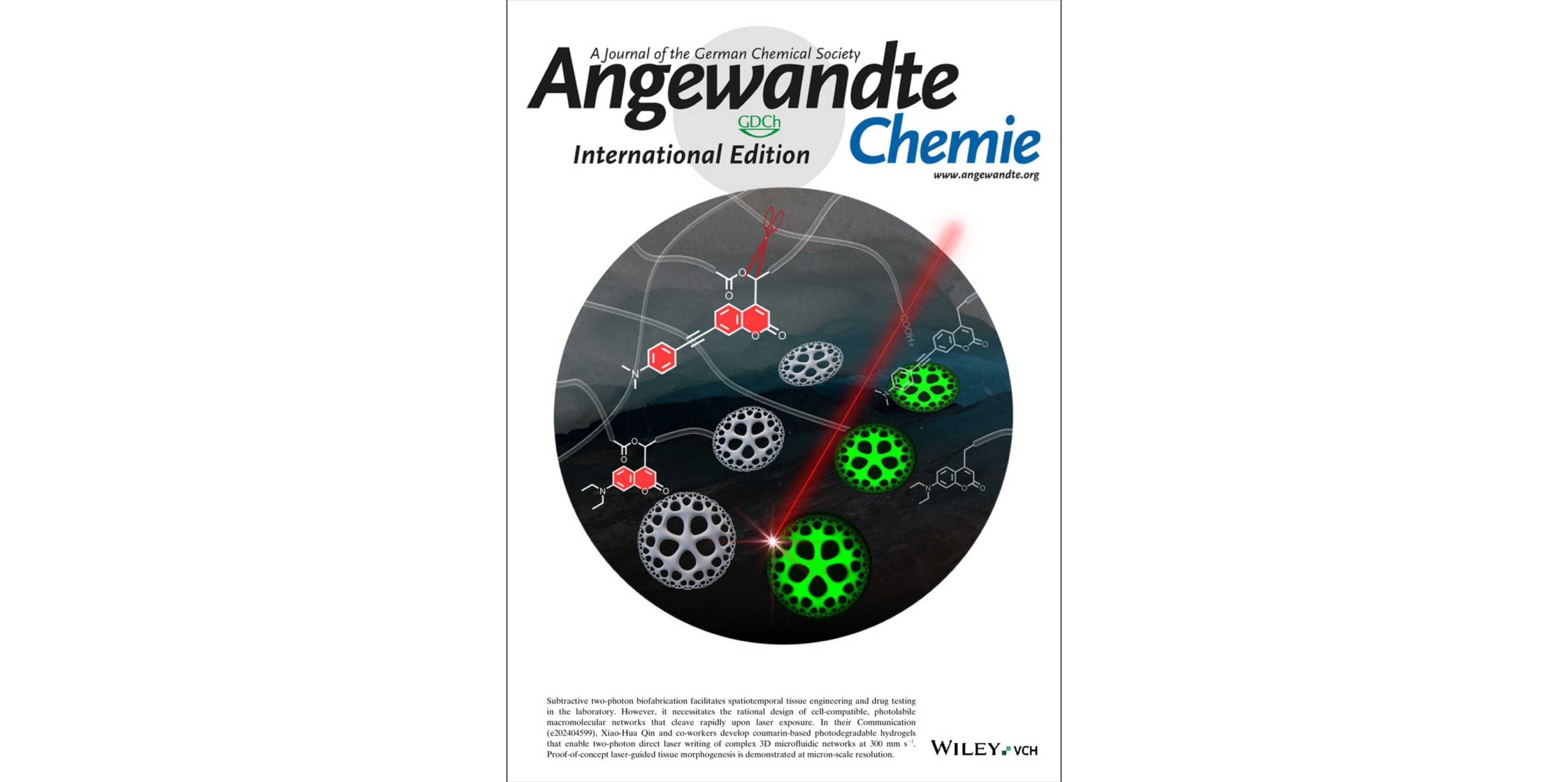 Qiu2024_AngewandteChemie_cover