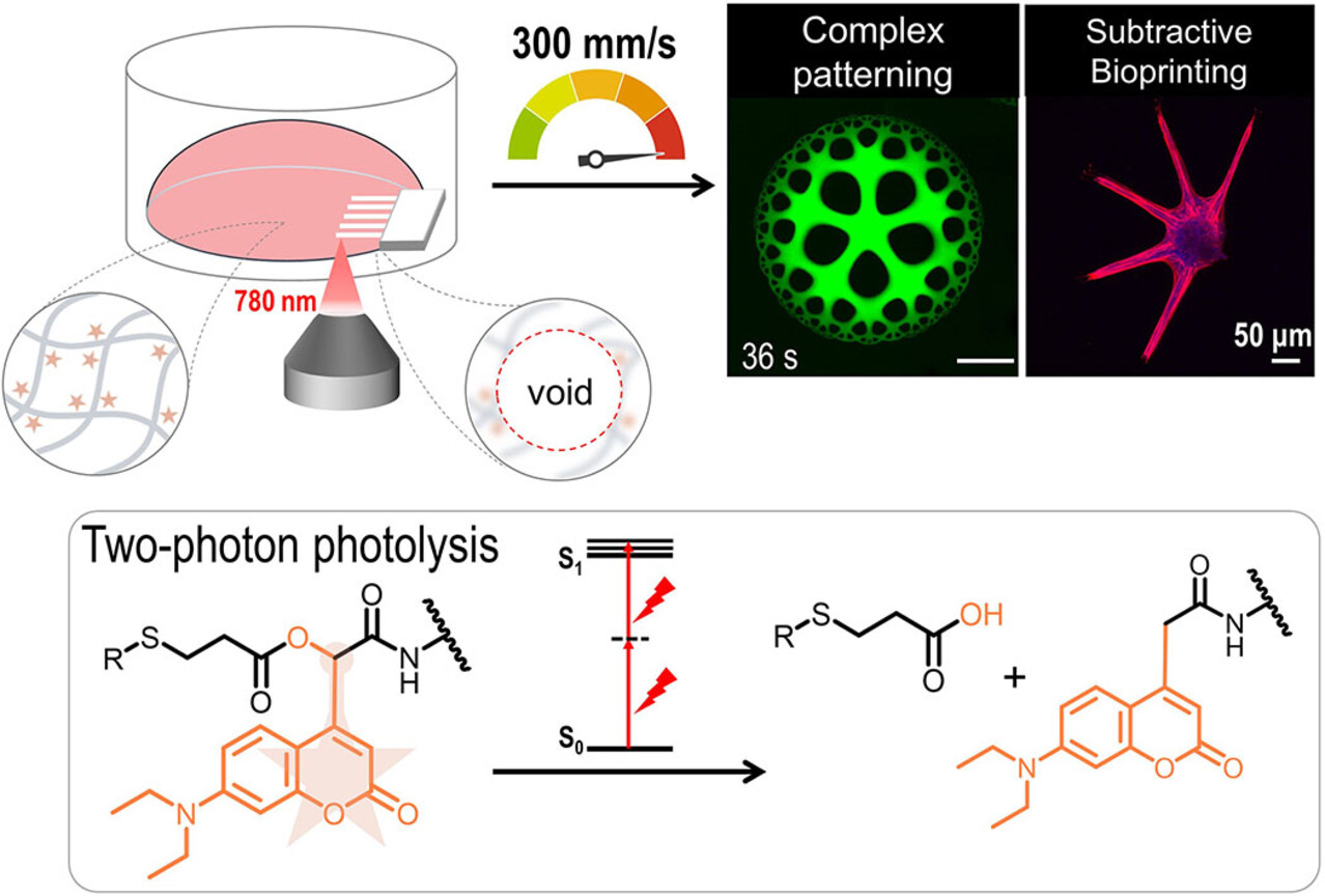 Qiu2024_AngewandteChemie_toc