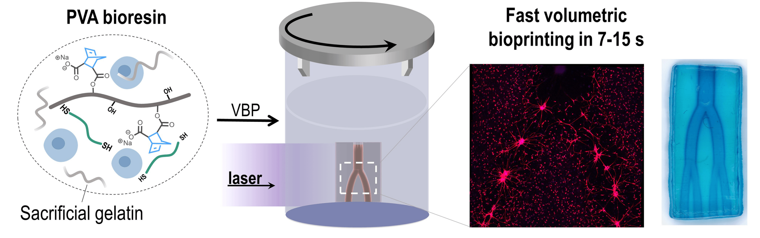 Enlarged view: PVA VBP WAQ